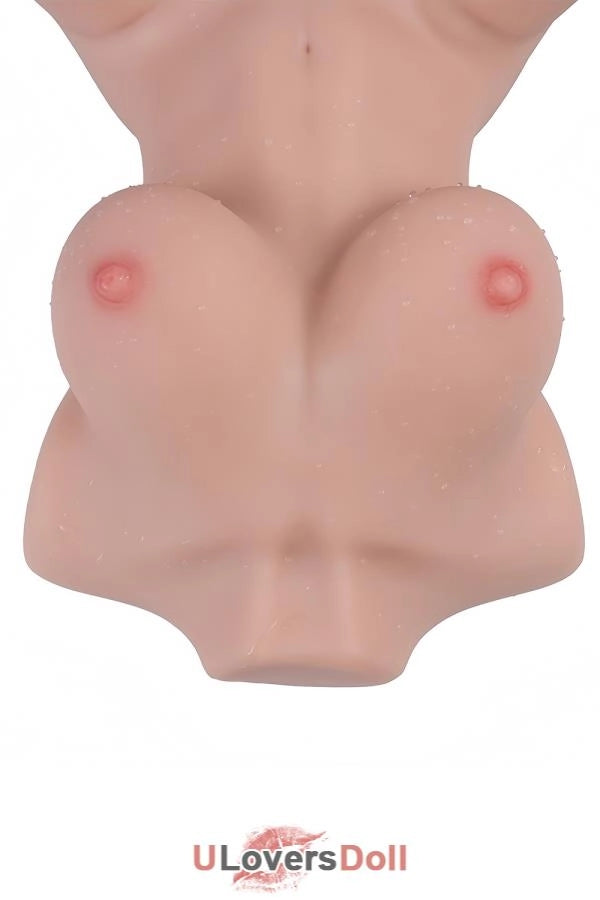 Tantaly Scarlett Hell 3.0 Sofort lieferbar Weiche Berührung (100% Nagelneu) 6.5kg Sexpuppen Torso Tantaly Q-005-0042