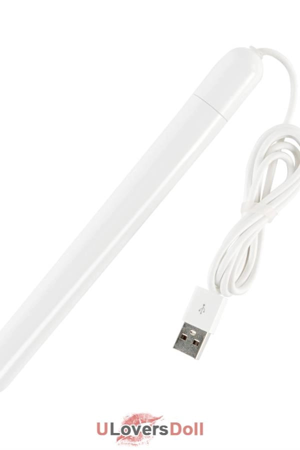Tantaly Heating rod 3.0 Sofort lieferbar USB-Heizstab (100% Nagelneu) Tantaly Zubehör Q-024-0004