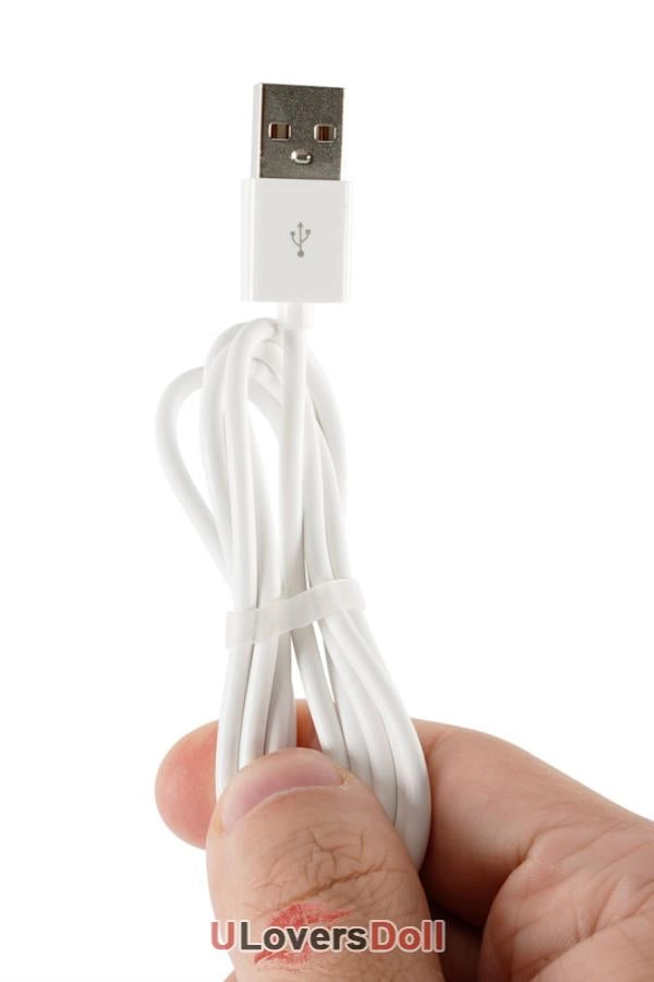 Tantaly Heating rod 3.0 Sofort lieferbar USB-Heizstab (100% Nagelneu) Tantaly Zubehör Q-024-0004